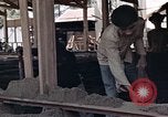 Image of workers Saigon Vietnam, 1962, second 22 stock footage video 65675039902