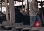Image of workers Saigon Vietnam, 1962, second 23 stock footage video 65675039902