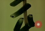 Image of USS Bexar Da Nang Vietnam, 1966, second 29 stock footage video 65675039909