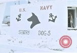 Image of United States Navy Sentry John B Robbins Da Nang Vietnam, 1967, second 5 stock footage video 65675039911