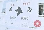 Image of United States Navy Sentry John B Robbins Da Nang Vietnam, 1967, second 7 stock footage video 65675039911