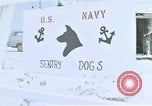 Image of United States Navy Sentry John B Robbins Da Nang Vietnam, 1967, second 8 stock footage video 65675039911