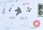 Image of United States Navy Sentry John B Robbins Da Nang Vietnam, 1967, second 9 stock footage video 65675039911