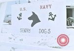 Image of United States Navy Sentry John B Robbins Da Nang Vietnam, 1967, second 10 stock footage video 65675039911