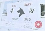 Image of United States Navy Sentry John B Robbins Da Nang Vietnam, 1967, second 12 stock footage video 65675039911