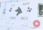 Image of United States Navy Sentry John B Robbins Da Nang Vietnam, 1967, second 13 stock footage video 65675039911