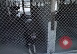 Image of United States Navy Sentry John B Robbins Da Nang Vietnam, 1967, second 19 stock footage video 65675039911