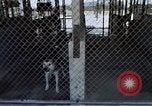 Image of United States Navy Sentry John B Robbins Da Nang Vietnam, 1967, second 32 stock footage video 65675039911