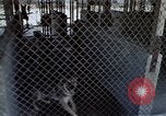 Image of United States Navy Sentry John B Robbins Da Nang Vietnam, 1967, second 43 stock footage video 65675039911