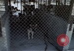 Image of United States Navy Sentry John B Robbins Da Nang Vietnam, 1967, second 47 stock footage video 65675039911