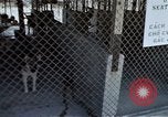 Image of United States Navy Sentry John B Robbins Da Nang Vietnam, 1967, second 48 stock footage video 65675039911