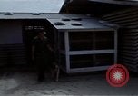 Image of United States Navy Sentry John B Robbins Da Nang Vietnam, 1967, second 59 stock footage video 65675039911