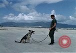 Image of United States Navy Sentry John B Robbins Da Nang Vietnam, 1967, second 4 stock footage video 65675039912