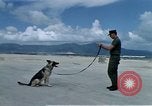 Image of United States Navy Sentry John B Robbins Da Nang Vietnam, 1967, second 5 stock footage video 65675039912
