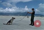 Image of United States Navy Sentry John B Robbins Da Nang Vietnam, 1967, second 6 stock footage video 65675039912