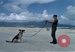 Image of United States Navy Sentry John B Robbins Da Nang Vietnam, 1967, second 7 stock footage video 65675039912