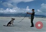 Image of United States Navy Sentry John B Robbins Da Nang Vietnam, 1967, second 8 stock footage video 65675039912