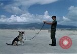 Image of United States Navy Sentry John B Robbins Da Nang Vietnam, 1967, second 9 stock footage video 65675039912