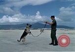 Image of United States Navy Sentry John B Robbins Da Nang Vietnam, 1967, second 13 stock footage video 65675039912
