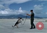 Image of United States Navy Sentry John B Robbins Da Nang Vietnam, 1967, second 14 stock footage video 65675039912