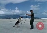 Image of United States Navy Sentry John B Robbins Da Nang Vietnam, 1967, second 15 stock footage video 65675039912