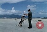 Image of United States Navy Sentry John B Robbins Da Nang Vietnam, 1967, second 16 stock footage video 65675039912