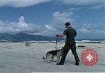 Image of United States Navy Sentry John B Robbins Da Nang Vietnam, 1967, second 17 stock footage video 65675039912