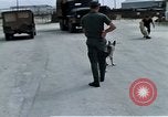 Image of United States Navy Sentry John B Robbins Da Nang Vietnam, 1967, second 25 stock footage video 65675039912