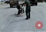 Image of United States Navy Sentry John B Robbins Da Nang Vietnam, 1967, second 40 stock footage video 65675039912