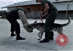Image of United States Navy Sentry John B Robbins Da Nang Vietnam, 1967, second 51 stock footage video 65675039912