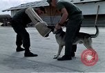 Image of United States Navy Sentry John B Robbins Da Nang Vietnam, 1967, second 52 stock footage video 65675039912