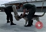 Image of United States Navy Sentry John B Robbins Da Nang Vietnam, 1967, second 53 stock footage video 65675039912