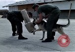 Image of United States Navy Sentry John B Robbins Da Nang Vietnam, 1967, second 54 stock footage video 65675039912