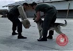 Image of United States Navy Sentry John B Robbins Da Nang Vietnam, 1967, second 55 stock footage video 65675039912