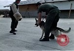 Image of United States Navy Sentry John B Robbins Da Nang Vietnam, 1967, second 56 stock footage video 65675039912
