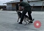 Image of United States Navy Sentry John B Robbins Da Nang Vietnam, 1967, second 58 stock footage video 65675039912