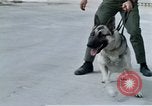Image of United States Navy Sentry John B Robbins Da Nang Vietnam, 1967, second 59 stock footage video 65675039912