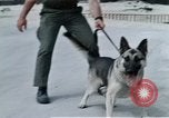 Image of United States Navy Sentry John B Robbins Da Nang Vietnam, 1967, second 60 stock footage video 65675039912