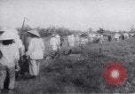 Image vietnamiens Hue Vietnam, 1969, de la seconde 38 séquences d'archives historiques vidéo 65675039914