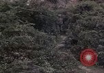 Standbild Vietcong Gefangene befragt von Südvietnam officer begleitet Tuy Hoà Süd Vietnam, 1962, aus Sekunde 24 historischem Filmmaterial Videoclip 65675039915