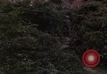 Standbild Vietcong Gefangene befragt von Südvietnam officer begleitet Tuy Hoà Süd Vietnam, 1962, aus Sekunde 25 historischem Filmmaterial Videoclip 65675039915