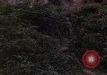 Standbild Vietcong Gefangene befragt von Südvietnam officer begleitet Tuy Hoà Süd Vietnam, 1962, aus Sekunde 26 historischem Filmmaterial Videoclip 65675039915