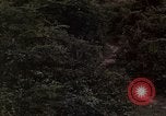Standbild Vietcong Gefangene befragt von Südvietnam officer begleitet Tuy Hoà Süd Vietnam, 1962, aus Sekunde 51 historischem Filmmaterial Videoclip 65675039915