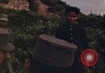 Image Interrogatoire des Vietcongs prisonniers par agent sud-vietnamien et US Tuy Hoa le Vietnam du Sud, 1962, de la seconde 35 séquences d'archives historiques vidéo 65675039916
