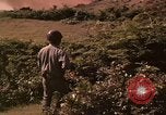 Standbild Vietcong gefangenen festgenommen und befragt von Südvietnam offi Tuy Hoà Süd Vietnam, 1962, aus Sekunde 23 historischem Filmmaterial Videoclip 65675039917