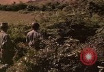 Standbild Vietcong gefangenen festgenommen und befragt von Südvietnam offi Tuy Hoà Süd Vietnam, 1962, aus Sekunde 24 historischem Filmmaterial Videoclip 65675039917