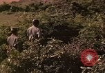 Standbild Vietcong gefangenen festgenommen und befragt von Südvietnam offi Tuy Hoà Süd Vietnam, 1962, aus Sekunde 25 historischem Filmmaterial Videoclip 65675039917