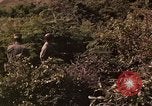 Standbild Vietcong gefangenen festgenommen und befragt von Südvietnam offi Tuy Hoà Süd Vietnam, 1962, aus Sekunde 26 historischem Filmmaterial Videoclip 65675039917