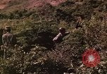 Standbild Vietcong gefangenen festgenommen und befragt von Südvietnam offi Tuy Hoà Süd Vietnam, 1962, aus Sekunde 27 historischem Filmmaterial Videoclip 65675039917