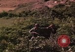 Standbild Vietcong gefangenen festgenommen und befragt von Südvietnam offi Tuy Hoà Süd Vietnam, 1962, aus Sekunde 37 historischem Filmmaterial Videoclip 65675039917